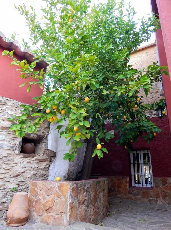 Casa Rural La Perra Gorda Zorita  Exterior photo